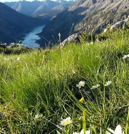 Apartamento Greta Terra *